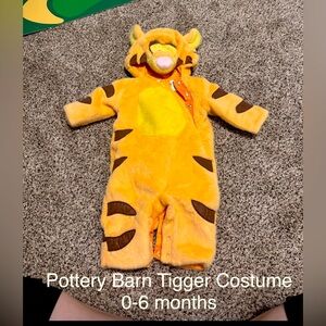 Pottery Barn Tigger Costume